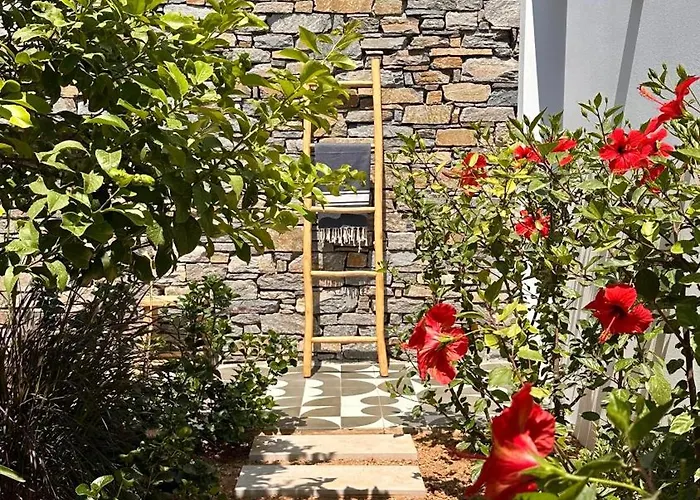 Pensionat Egeo Paros Aspro Chorio